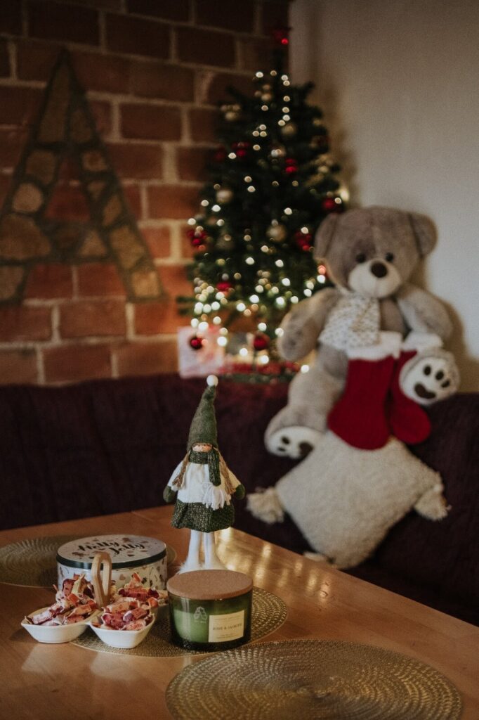 planinska-kuca-ela-visit-kupres-booking (7)