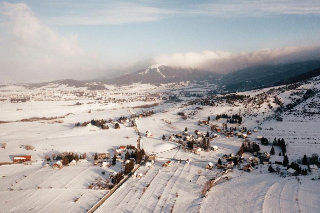 rosa-canina-visit-kupres-booking (1)