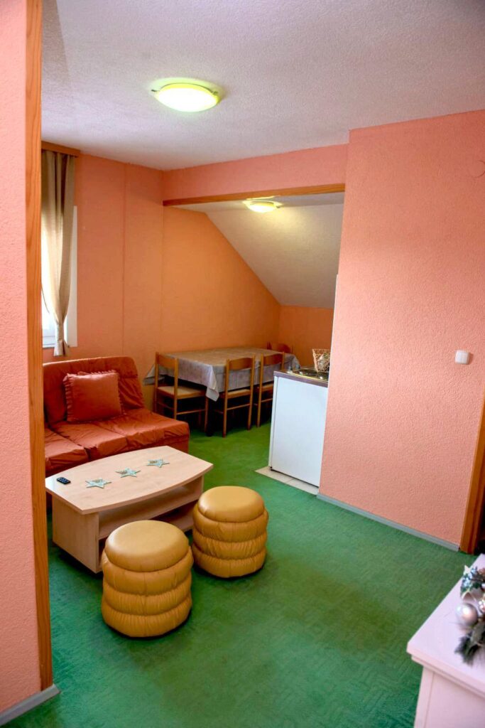 apartman-nikolina-visit-kupres-booking (10)