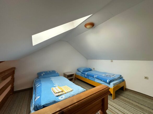 pansion-tomas-2 (1)