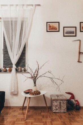 rosa-canina-visit-kupres-booking (3)